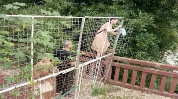 Нужно было ток пустить