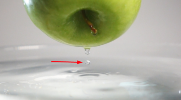 Озеро Байкал: как в действительности выглядит дно глубочайшего озера