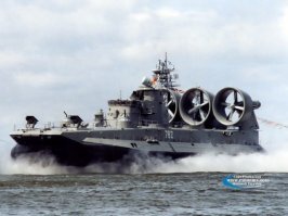 я служил на «Зубрах» 2 года 1992-1994 гг
если уж совсем точно, то ровно  2 года и три часа
последние пол года именно на этом корабле