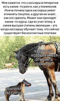 Пятёрочка удивляет. Будни сотрудников магазина, о которых не догадываются покупатели