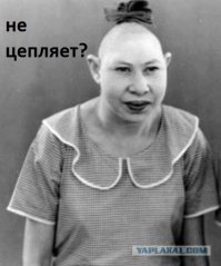 Ошеломляющие эксперименты с фотошопом