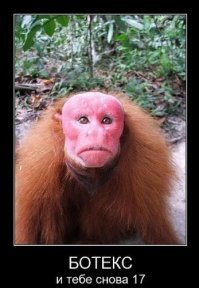 Посмотри в глаза: певица Наталья Ветлицкая - российский секс-символ девяностых