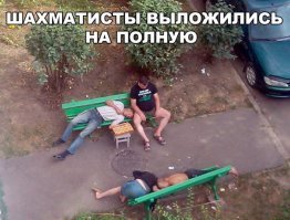 Шахматы на троих