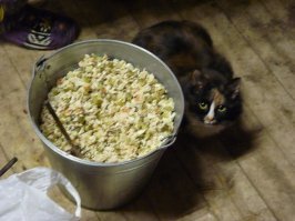 Ну правда без пиккулей и паюсной икры.