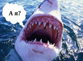 Самые опасные рыбы в мире