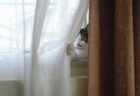 22 урока от мастеров игры в прятки