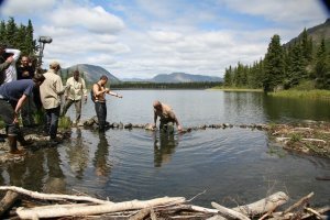 не выжил, а уживался скорее всего.....)))))