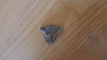 Что это такое? Помогите определить странный артефакт/предмет