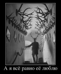 Свою фотку воткнул бы)