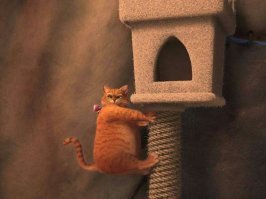 Прикольные и смешные картинки