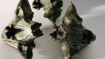 Если похоже, то водяной орех.