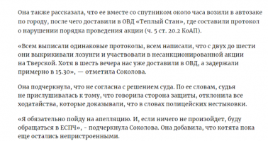 Эта женщина тоже хотела пристроить котят в добрые руки. Но сбесившееся власть посчитала ее акцию добра одиночным пикетом.