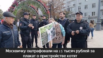 Эта женщина тоже хотела пристроить котят в добрые руки. Но сбесившееся власть посчитала ее акцию добра одиночным пикетом.