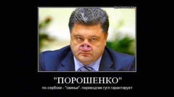 Почему у быков в носу кольцо?