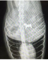 30 случаев, когда комментарии лучше, чем фотографии