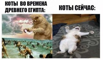 Прикольные и смешные картинки