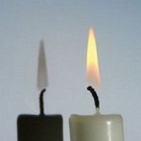 Смешные картинки