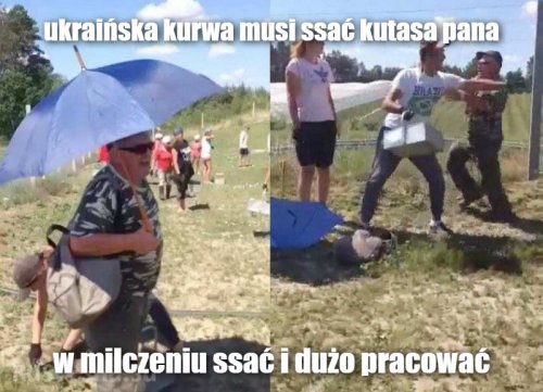 Издержки безвиза