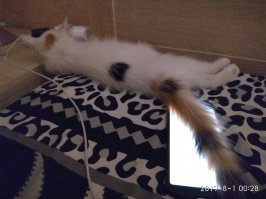 У нас такая же)))