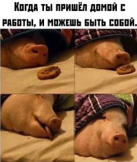 Намешалось