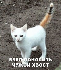 Кажись того рыжего на запчасти разобрали