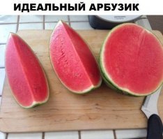 Фишкяне-бахчеводы, расскажите откуда берут семена этого сорта арбуза?