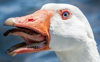 пожалуй, главный страх моего детства