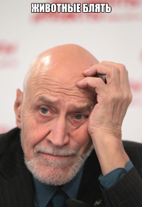 Безудержное свадебное веселье