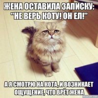 Смешные картинки