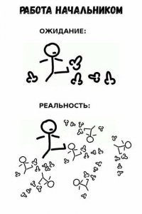Смешные картинки
