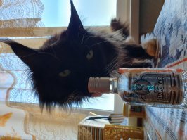 Смешные картинки