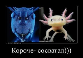Несколько фотографий, доказывающих, что реальность всегда превосходит вымысел
