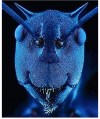 Пост хорошего настроения