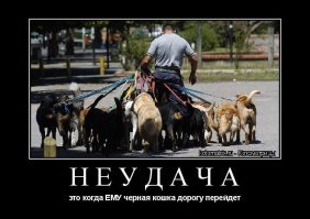 Демотиваторы