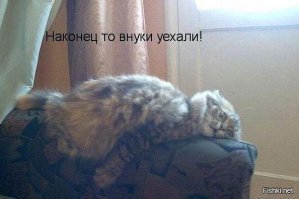 Картинки с надписями