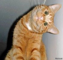 в следующий раз притормозит, прежде чем языком чесать..
рег: