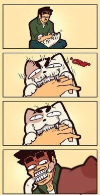 Смешные картинки