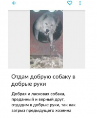 Смешные картинки