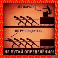 Смешные картинки