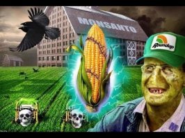 теперь монсанто объединилось с байером...скоро и в европе