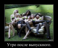 Прикольные и смешные картинки