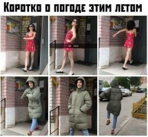 Лето-2019: юмористические итоги трех долгожданных месяцев