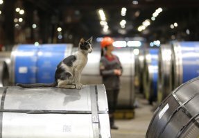 вот вам еще