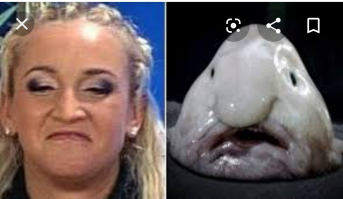 18 товаров, которые привлекли покупателей красивой картинкой, а в реальности жестоко разочаровали