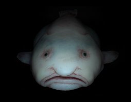 18 товаров, которые привлекли покупателей красивой картинкой, а в реальности жестоко разочаровали