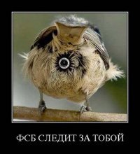 Самые смертоносные спецслужбы средневековья