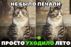 Лето-2019: юмористические итоги трех долгожданных месяцев