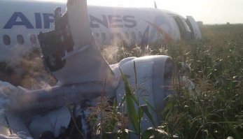 "продает кукурузу якобы с того поля, на которое приземлился самолет."
если кто то не внимательно не смотрел то на том поле она даже ещё не появилась как початок только "цветок". посмотрите на фото где вы здесь видите початки кукурузы?