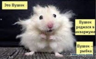 Что качественнее: немцы, японцы или корейцы?