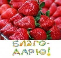 Демотиваторы, которые вы еще не видели